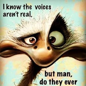 Meet your Posher, Ray